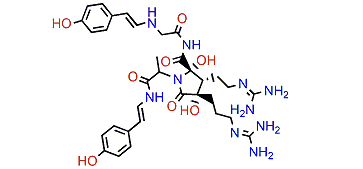 Anchinopeptolide B